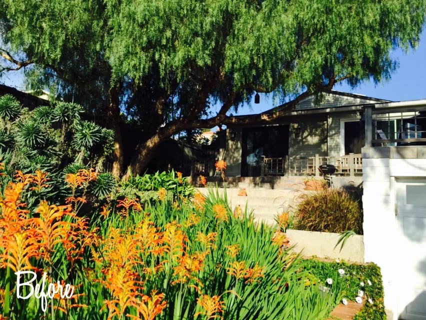A single-story house partly hidden behind a large shade tree and beds of orange flowering plants, with a Before caption overlaid.